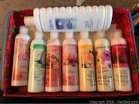 Photo showing all 7 Avon hand lotion bottles and one large bottle of Tranquil Moments Foam Bath, all arranged in a red container.