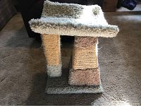 Front view showing two sisal-wrapped scratching posts attached to a base with plush carpeted top lounger platform.