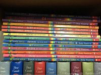 Spine view of colorful Little Apple fairy-themed books by Daisy Meadows stacked horizontally and vertically showing titles and authors clearly