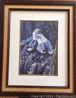 Full framed print showing three Kittiwake seabirds perched on rocky cliff, visible wear on frame edges.