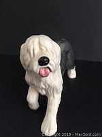Front view of Beswick sheepdog figurine showing white front and black rear with visible tongue.