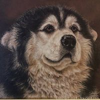 Close-up of the dog portrait showing detailed fur and expression.