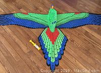 Top-down view of the large parrot kite showcasing full wingspan, vibrant feather colors, and included spool of string.