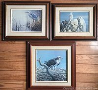 Set of three framed bird prints by Robert Bateman on wooden floor. Two prints smaller with brown frames and beige mats, one larger print with gold frame and beige mat.