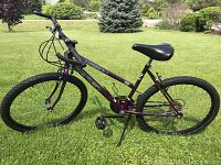 Full side profile of purple ladies 18 speed mountain bike on grass with visible components and tires.