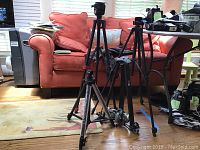 Four adjustable camera tripods of varying heights positioned in a sunroom on wood floors and a rug near a red couch and table with camera equipment.