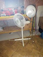 Photo showing white pedestal floor fan and adjustable lamp with metal shade in basement setting.
