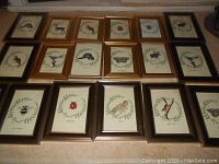 Eighteen 4x6 gold-tone framed animal illustrations arranged in rows, showing different animals including moose, butterfly, owl, squirrels, beetle, and others.