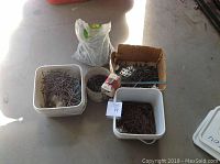 Overview of multiple containers holding various nails and screws in different sizes and conditions.