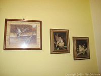 Framed paintings of ducks and birds in nests on a yellow wall