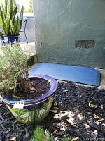 Photo showing the painted terracotta pot with lavender plant outdoors near garden mulch, blue rubber mat visible behind