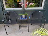 Two black metal mesh chairs with armrests flanking a small metal side table with a blue tile top. The table holds a potted orchid plant with pink flowers. Outdoor setting on a concrete floor near gray wall.