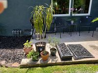 Wide view of 5 potted plants varied in species and sizes along with decorative outdoor rubber mats stacked on the side.
