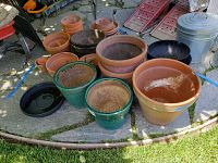 Wide view showing multiple terra cotta pots, green glazed pots, and black plastic saucers arranged on patio stones with some garden equipment visible.