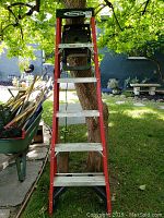 Front view of Werner 10 foot fiberglass step ladder standing next to tree in a yard.