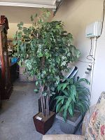 Photo showing both faux plants side by side in square pots inside a garage setting with some furniture items around.