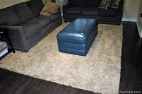 Full view of beige shaggy rug under furniture in living room, showing texture and placement.