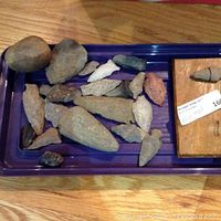 Tray with multiple arrowhead-shaped rocks and fossils showing various sizes and subdued earth tone colors, including beige, gray, and brown.