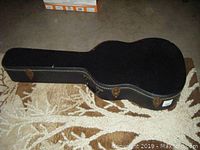Closed black hardshell guitar case with brass latches on a patterned rug.