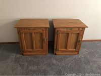Pair of oak paneled ice chests side by side on carpeted floor, showing front and top views.