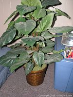 Photo of faux plant with large green leaves in woven basket pot on floor by wall and furniture