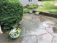 View of three matching mint-green ceramic planters arranged on stone patio with yellow flowering plants and dusty miller foliage.