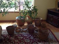 Two live house plants in woven baskets next to various sizes of woven plant baskets and six woven raffia placemats.