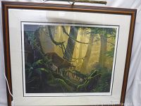 Full view of the framed print showing the wildlife scene with mountain lion in forest illuminated by sunbeams.
