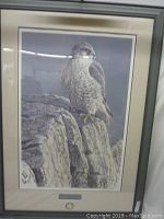 Full view of framed print showing Gyrfalcon perched on rock in gray frame under glass.