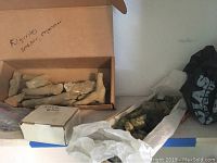 Two open boxes side by side on shelf; left contains fulgurite tubes, right contains carved stone animals