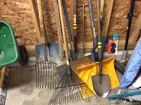Various garden tools including rakes, shovels, a pitchfork, and snow shovels leaning against a wall in a shed.