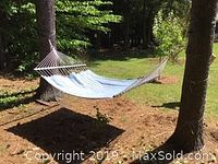 Hammock hung between two trees outside, showing overall setup and size.