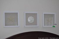 Three 12x12 inch shadow box art pieces mounted on a wall above furniture, including a starfish, sand dollar, and coral piece.