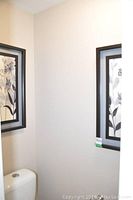 Photo showing the corner of a room with two framed botanical artworks mounted on adjacent walls above a white toilet.