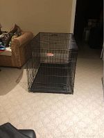 Black metal dog crate sitting on carpet with front door open.