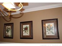 Three framed botanical prints hanging on a wall, each with dark wood frames and decorative edges.