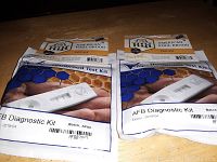 Two unopened American Foulbrood (AFB) Diagnostic Test Kit packages shown on a surface with clear labeling and images of the test cassette visible on the front.