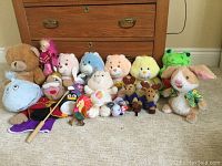 Wide view of all assorted stuffed animals and puppets arranged on carpet in front of dresser including Care Bears, TY Beanie Babies, teddy bear, frog, bunny, and moose.