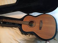 Guitar body seated in open hard case showing top and bridge.