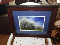 Front view showing the framed print with a reddish brown wooden frame and blue matting surrounding the photograph of flowering trees with a bright blue sky.