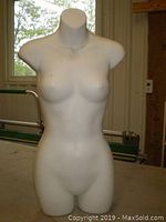 Side and front view of white female half body mannequin form showing torso and hips with no arms or head, set against a window and wall background.