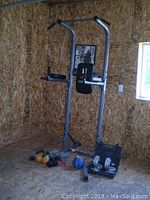 Exercise station in a wooden room, includes pull-up and dip bars, back support, hand weights, adjustable dumbbells, medicine ball, and small weights in case on the floor.