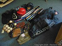Photo showing full spread of baseball equipment including bats, gloves, helmets, catchers gear, baseballs, and bags.