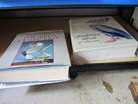 Two large hardcover art books placed side by side on a shelf, one titled 'The Birds of America' and the other 'Audubon's Birds of America' with a pelican on the cover.