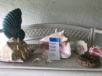 View of 7 assorted decorative seashells displayed on a white textured surface including large shells and smaller textured shells.