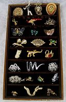 Top view of pins arranged in a tray with velvet lining, showing colorful designs and varied motifs