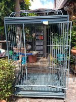 Front view of large metal bird cage outdoors, showing bars, open door, and wheels at base