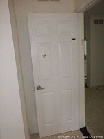 White raised panel hall door shown mounted in door frame with satin nickel metal lever handle, six panels vertically arranged.