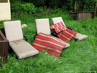 Three beige-cushioned metal lounge chairs with red-striped loose pillows leaning on them in overgrown grass.
