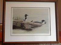 Framed print featuring loons on water with rocks, matted under glass in dark wood frame with some wear